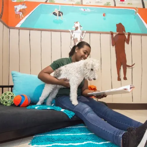 Staff member reading a dog a book